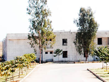 Radharaman 